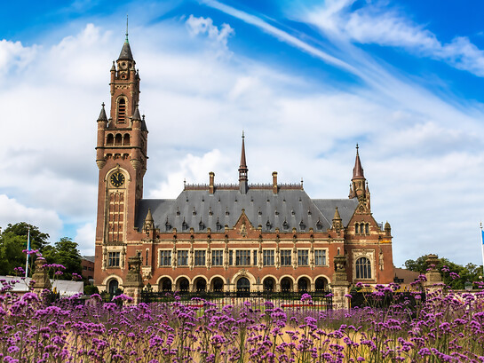 The Peace Palace (Dutch: Vredespaleis) in The Hague, Netherlands, is one of the world's most important centres for international law. It houses the International Court of Justice, the principal judicial organ of the United Nations, as well as the Permanent Court of Arbitration, The Hague Academy of International Law, and the renowned Peace Palace Library