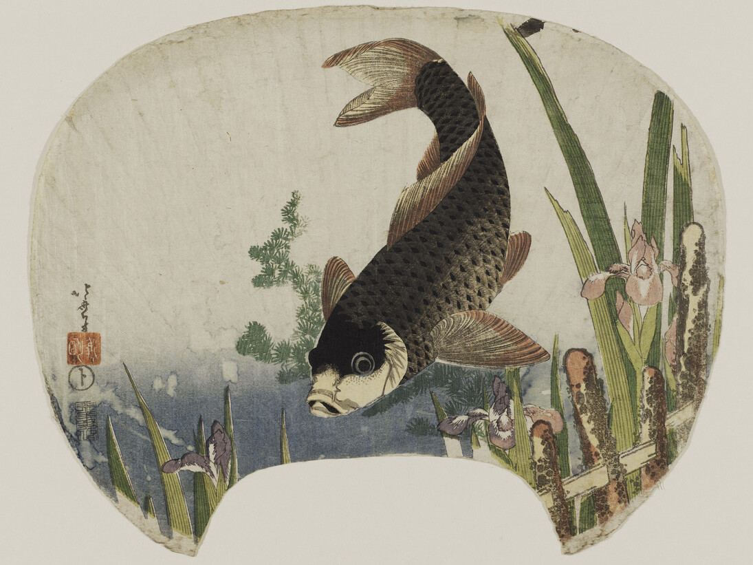Katsushika Hokusai, Carp and Iris
