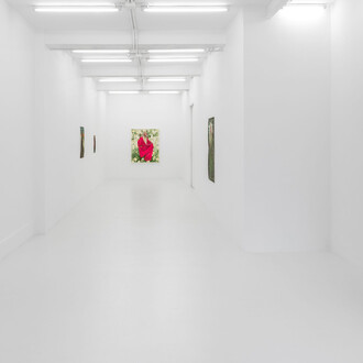 Iris van Dongen, To be at home in the world, vista de exhibición. Cortesía de Casado Santapau Gallery