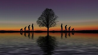 L'evoluzione dei primati in prospettiva. Negli ultimi 150 mila anni siamo diventati degli uomini sapiens, al contrario degli scimpanzé, che sono così come sono da circa 7 milioni di anni! 