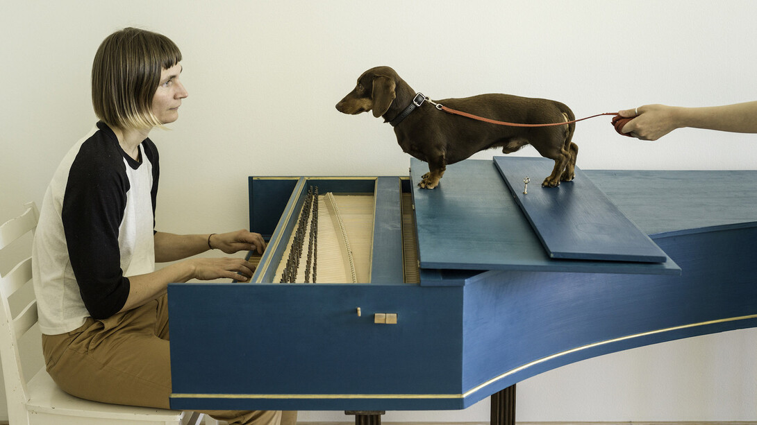 Elina Brotherus, Flux Harpsichord Concert, 2017, photograph.
After George Maciunas, 12 compositions for piano – for Nam June Paik, Composition no.5: Place a on dog or a cat (or both) inside a piano and play Chopin, 1962, and after Flux-Harpsichord Konzert, Akademie der Künste, Berlin, organised by René Block, Sept. 3, 1976.

