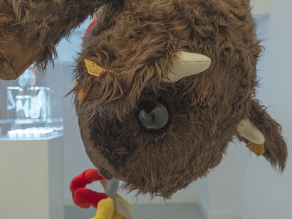 Manuel Franquelo-Giner, Exhibition view. Courtesy of Twin Gallery