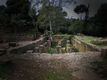 Africa. Tipaza, Algeria ©Simonetta Sandri