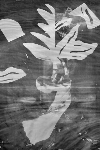 Christian Newby, Poster for Le Club des sous l'eau, 2013, Courtesy of Vitrine