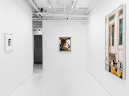 Daniel Terna, The terrain, exhibition view. Courtesy of Jack Barrett Gallery