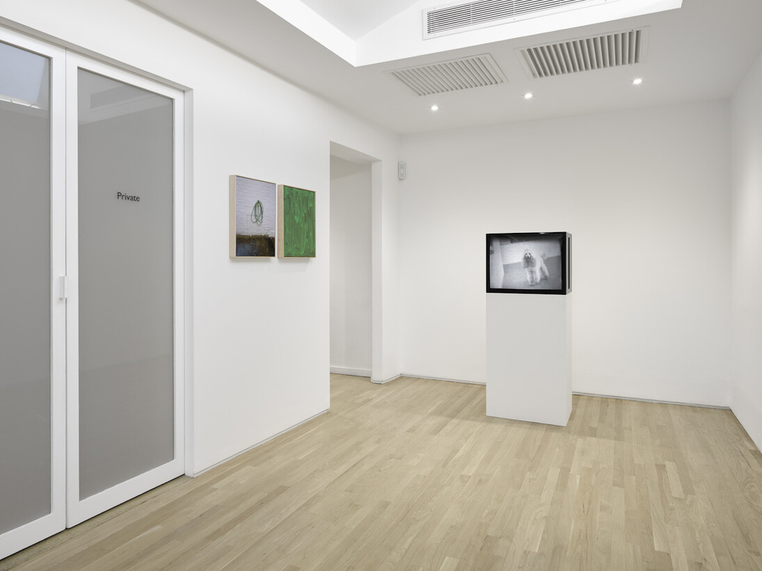 Lisson Presents..., Exhibition view. Courtesy of Lisson Gallery 