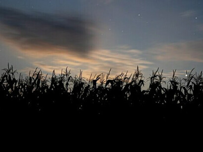 Poeta: la muerte no redime, pero hablan tus versos. Puesta del sol en el campo
