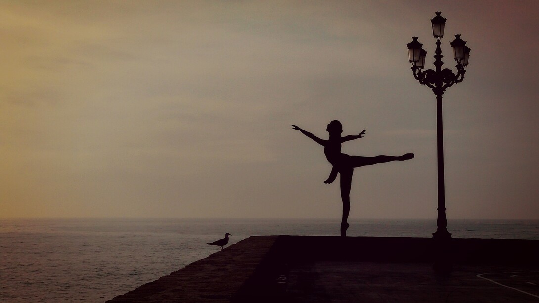 Siluetas enfrentadas de bailarina y gaviota con mar de fondo