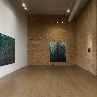 Claire Sherman, Tannic waters, exhibition view. Courtesy of Patron