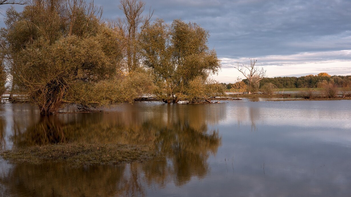 Alluvione. Afrin, una giovane sfollata dal fiume Brahmaputra, simbolo della crisi climatica e dei rifugiati climatici in Asia