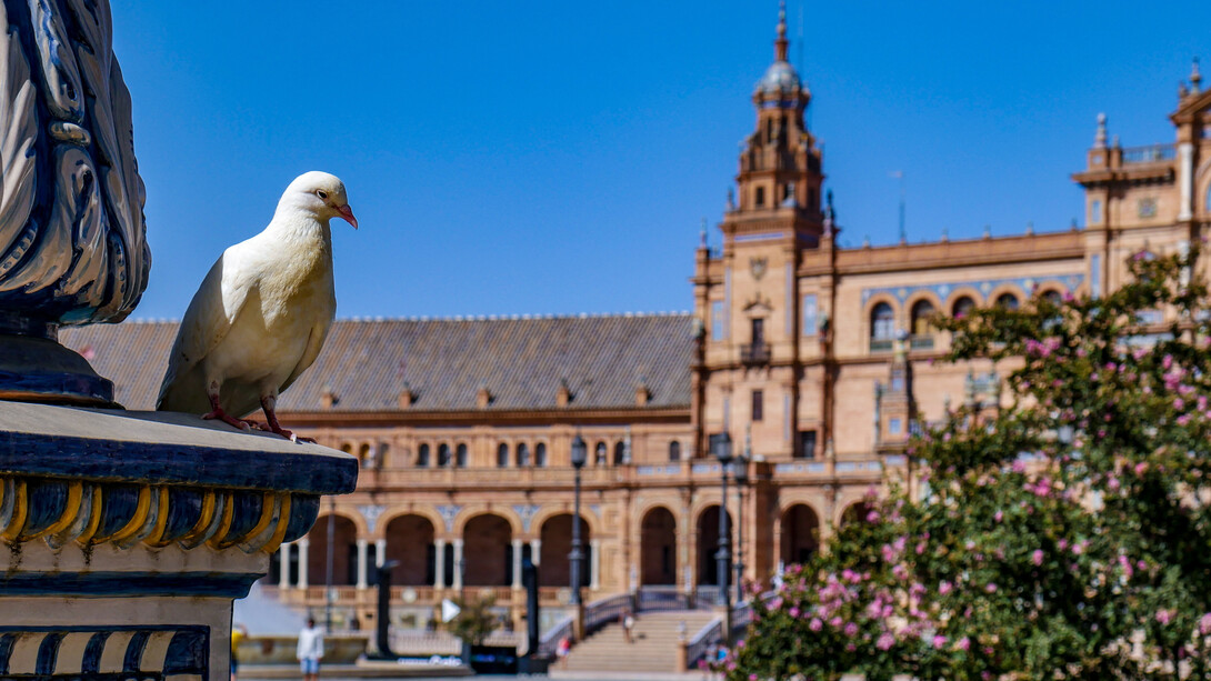 Plaza de España 