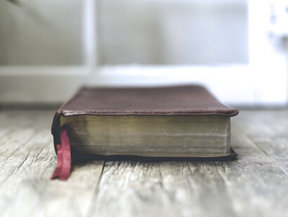 Estas palabras las había escrito en una de las paredes de la cochambrosa habitación