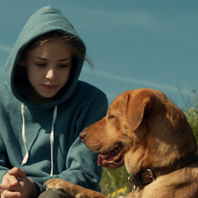 White God. 2014. Hungary. Directed by Kornél Mundruczó. Image courtesy of Magnolia Pictures.