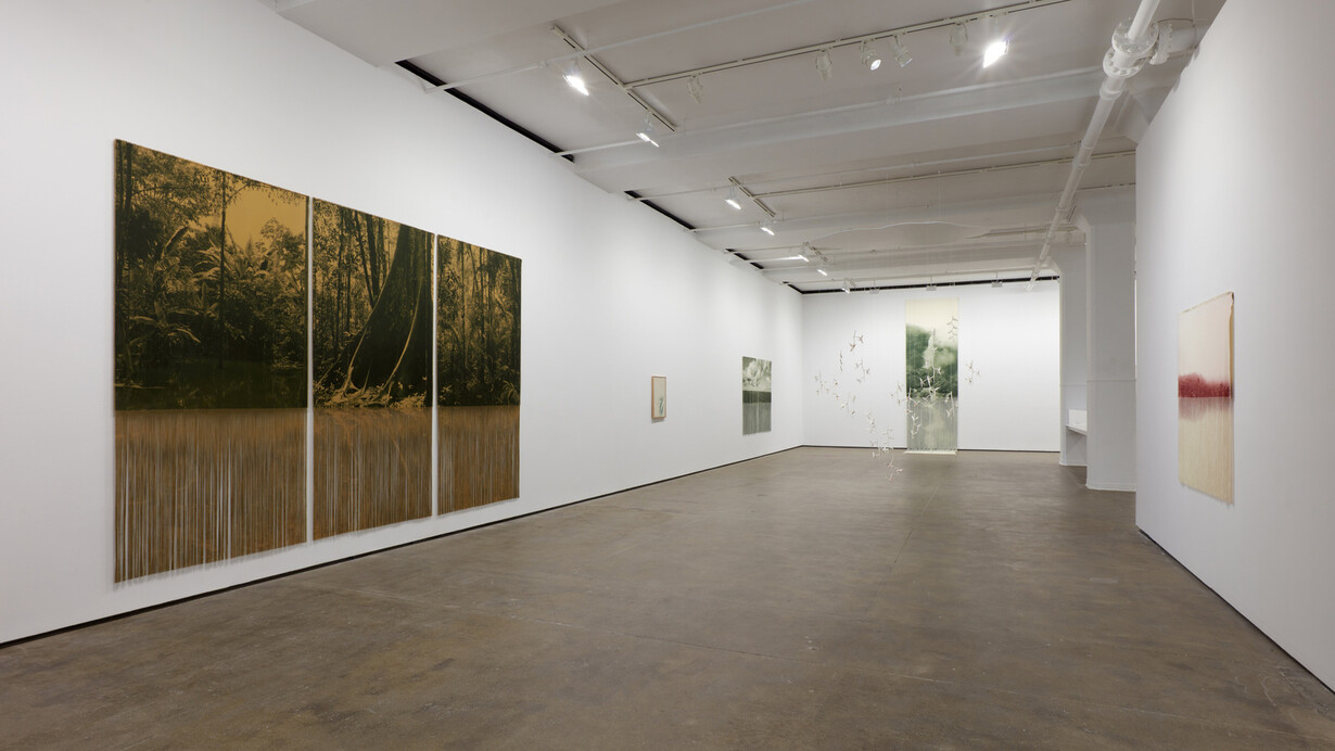 Ana González, Río, exhibition view. Courtesy of Sean Kelly Gallery
