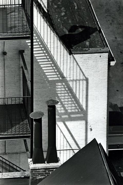 André Kertész. Courtesy of Bruce Silverstein Gallery