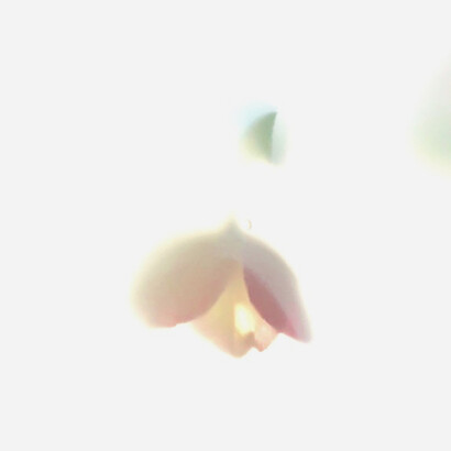 Elemento Luz
