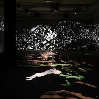 Hammer projects. Lap-See Lam, exhibition view. Courtesy of Hammer Museum