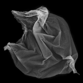 Finnish Landscape. Courtesy of The Finnish Museum of Photography