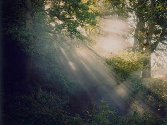 Harry Cory Wright, Dew Pond and Thirty Second Smoke Generator, 2012, C print, 58 x 71 in / 148 x 180cm, Edition of 3