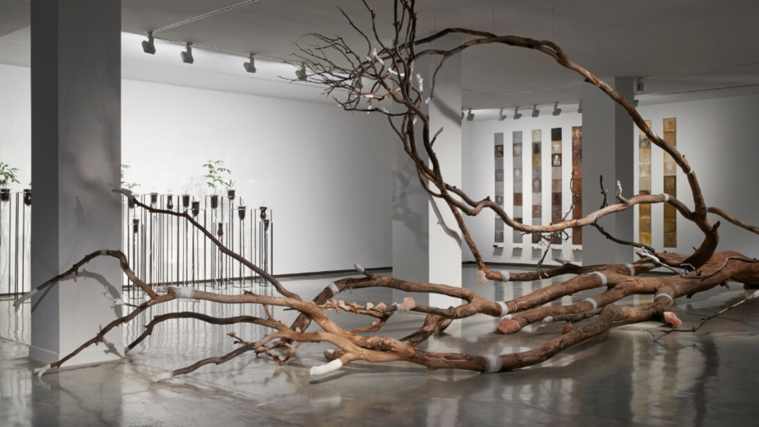 Janet Laurence. Courtesy of MCA