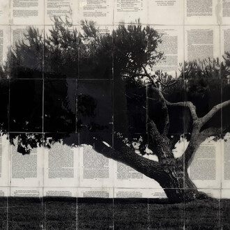 Mike Saijo, Trees of Redondo beach 2 (detail), 2026. Courtesy of bG Gallery