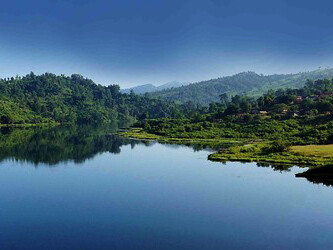 Wetlands are land areas that are either seasonally or permanently covered by shallow water