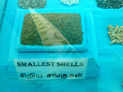 The smallest shells