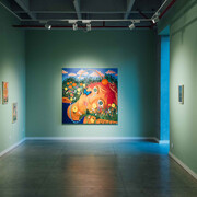 Alejandra Hernández, Campo de visión, vista de exhibición. Cortesía de la Galería Policroma