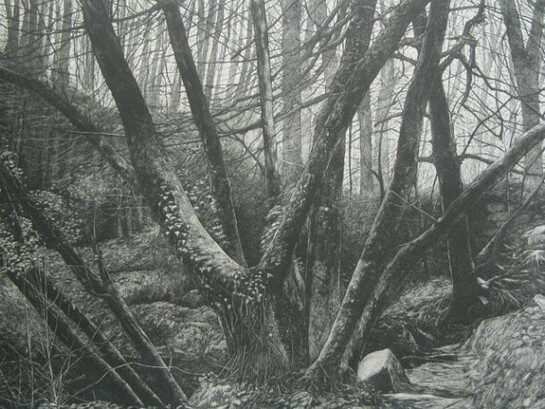 Kennall Vale, Cornwall Study I, Etching and aquatint, 39.2 x 60.6 cms (i)