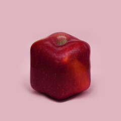 Hugo Boss Asia Art 2017. Courtesy of Rockbund Art Museum