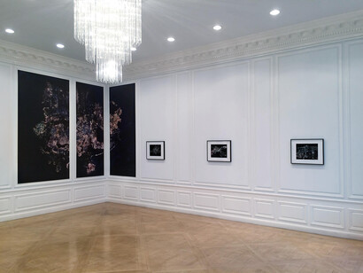 Elias Wessel, Installation view