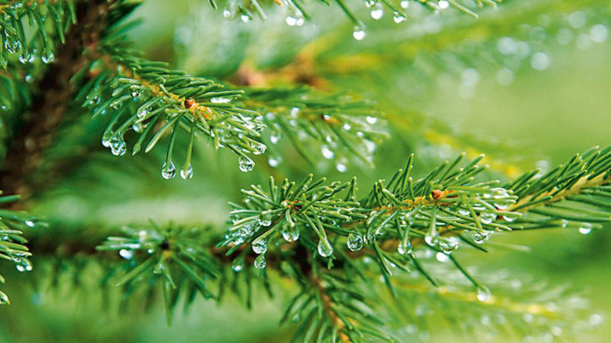 Obiettivo benessere. Courtesy of Palazzo Comunale