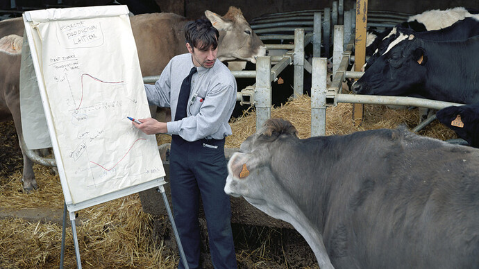 Thierry Boutonnier, Comment expliquer les objectifs de la production laitière aux vaches (detail), 2005. Courtesy of Dom Museum