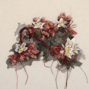 Michelle Robinson, Santa Cruz Island Dudleya, 2026. Courtesy of Launch LA 