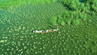 Chibayish marshes, Iraq, near al-Nasiriyah