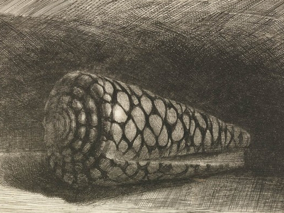 Achenbach Foundation for Graphic Arts. Courtesy of Legion of Honor