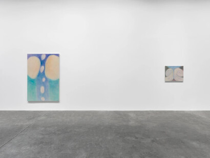 Akiko Kinugawa, Above the focus, behind the ears, exhibition view. Courtesy of Mendes Wood DM