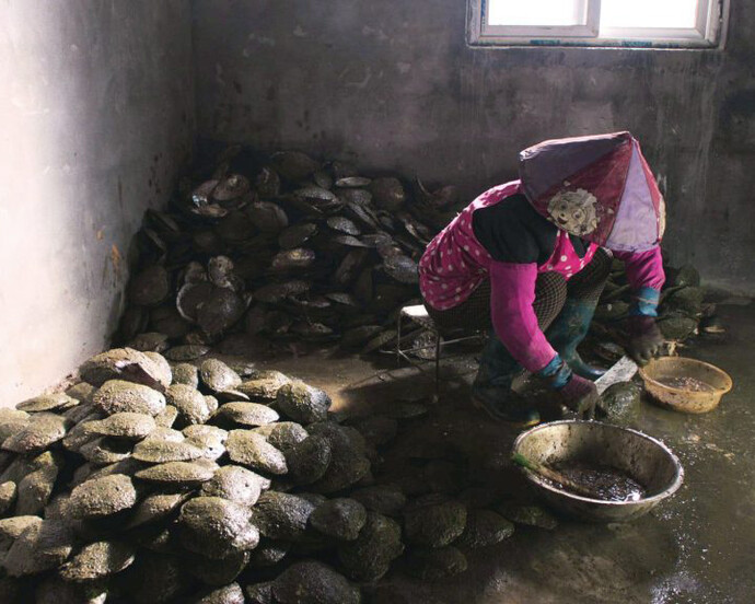 Mika Rottenberg. Courtesy of The Bass 