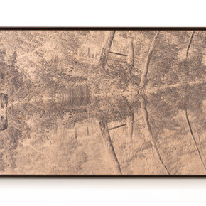 Clifford Ross
Untitled, 2020
Cured inkjet on wood
32 x 73 1/4 inches (81.28 x 186.05 cm)