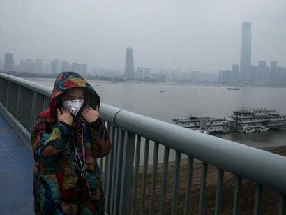 The majority of the probed analysis shows an Asiatic origin of the plague from COVID-19