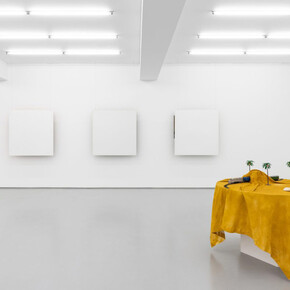 Ana Vieira, The narrative structure, exhibition view. Courtesy of Galeria Vera Cortês