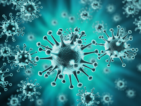 Viruses are classified into different types, subtypes and strains
