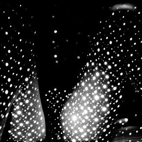 Victor Cobo. Courtesy of ClampArt