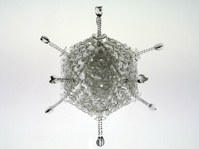 Adenovirus. Fotografía de Luke Jerram