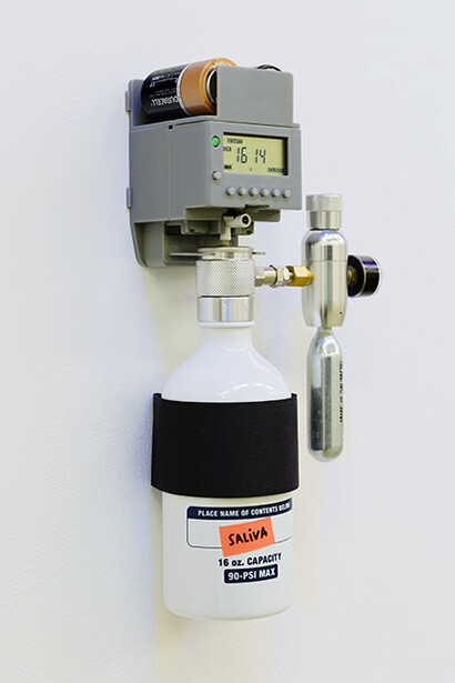 Outsourced Affects. Courtesy of galerie frank elbaz