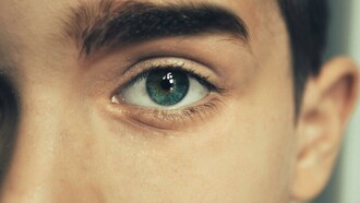 A person with blue eyes. What one sees is what one sees when one perceives what is evidenced