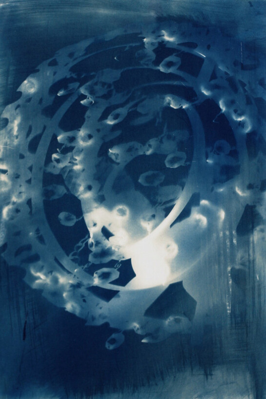 Shadowgraphs. Courtesy of Benrubi Gallery