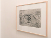 Edward Ranney, Exhibition view. Courtesy of Deborah Bell Photographs