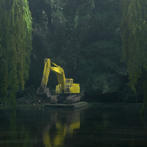 Edwin Zwakman, Pond (detail), 2013, c-print, diasec/dibond, 51 1/4 x 49 3/8 in / 130 x 125 cm