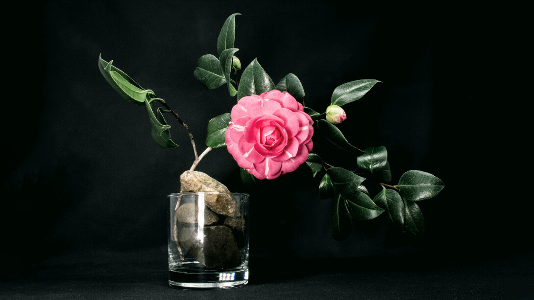 Tsubaki, the first novel by Aki Shimazaki